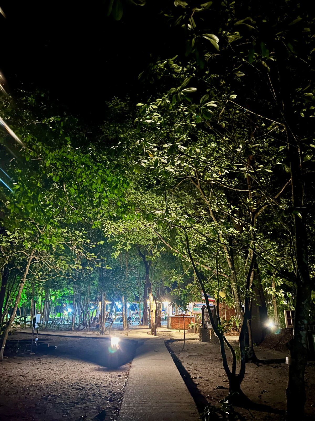 Path through the camp at night