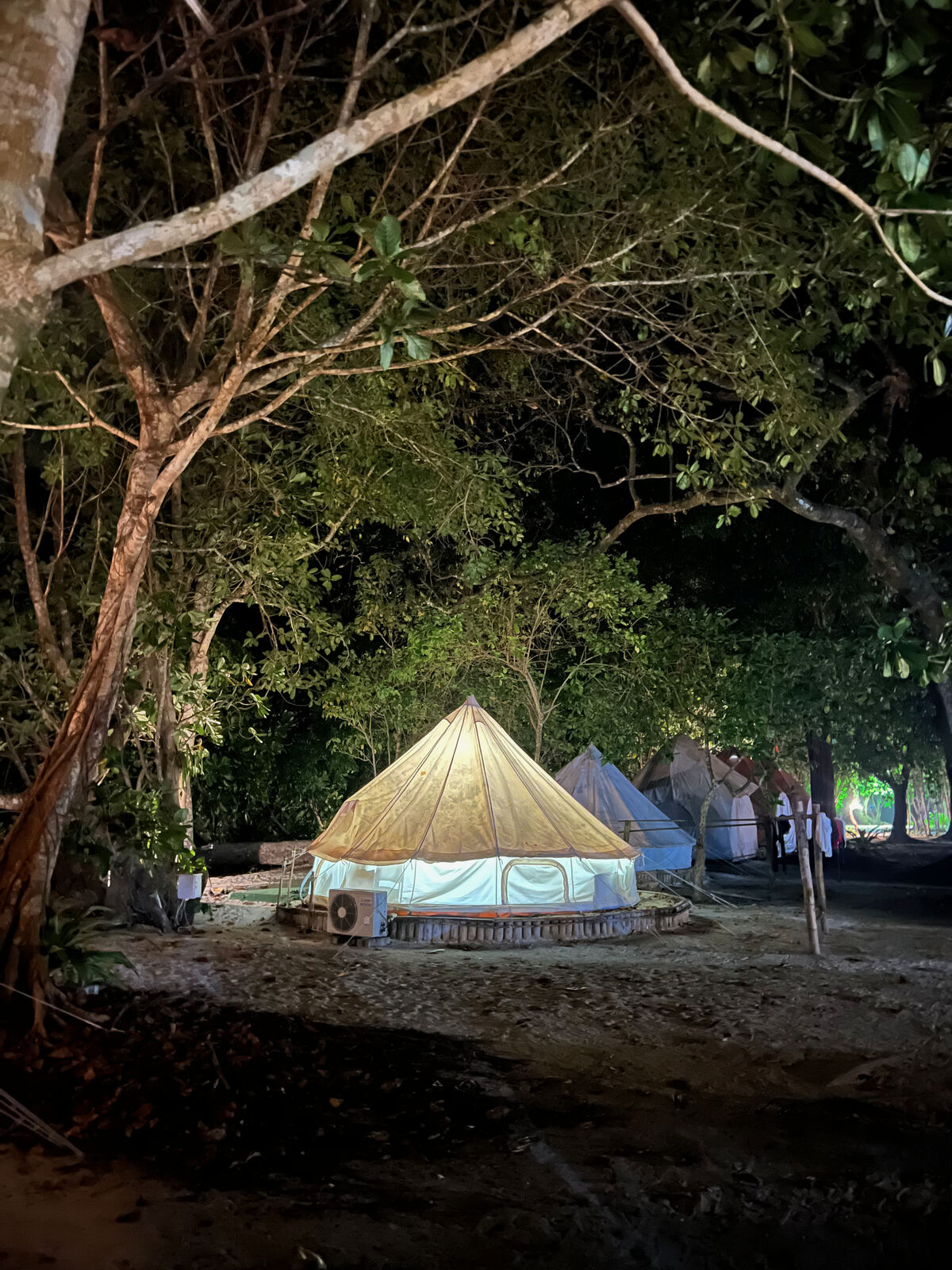 Bell tent in the trees at night
